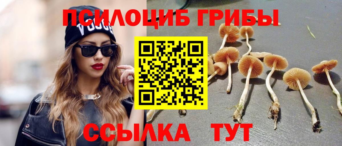 Галлюциногенные грибы Psilocybe  Вход с VPN  Алексин 