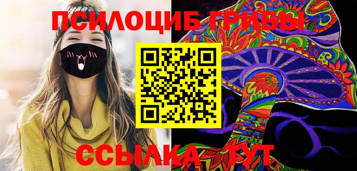 Галлюциногенные грибы Psilocybine cubensis Алексин